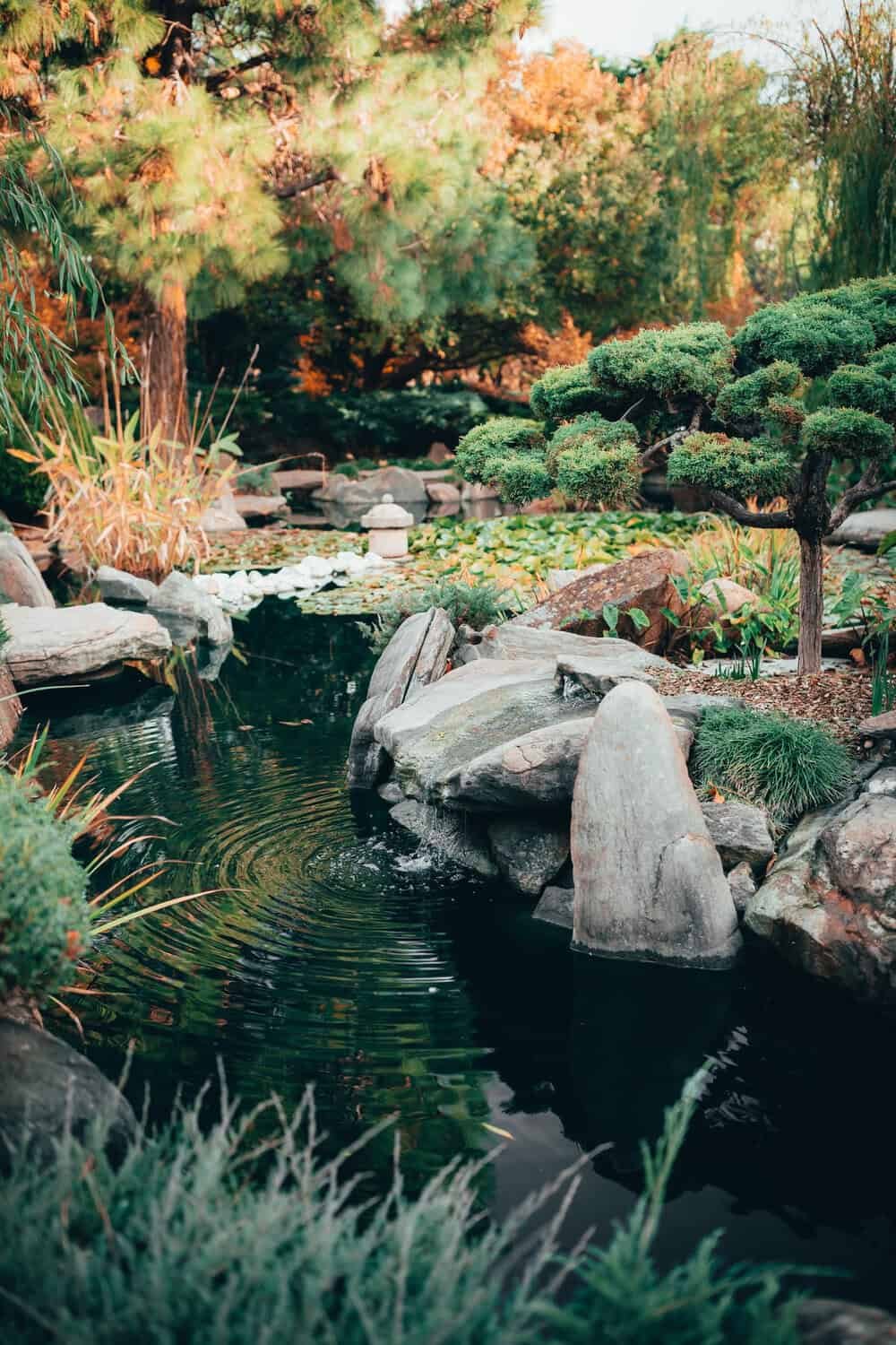 Közpark tervezés Pécsett